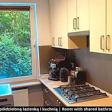 Vandrerhjem With Shared Bathroom And Kitchen Kraków